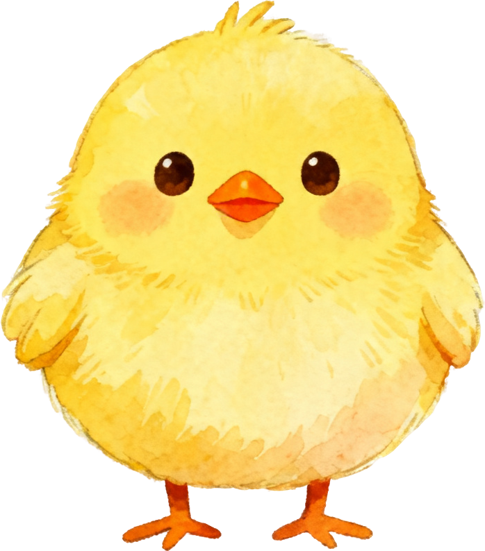 鸡